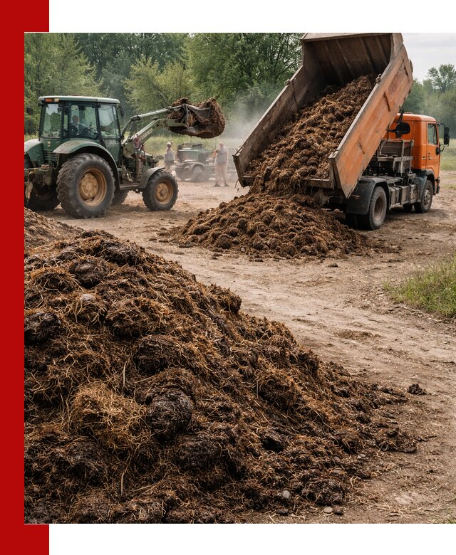 Доставка навоза самосвалами в Усолье-Сибирском для сельхозпотребностей